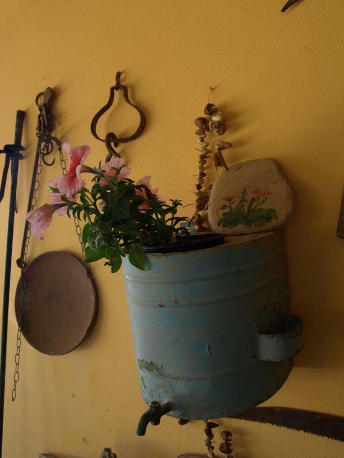 Emma Ferienhaus Agia Fotia (Sitia)